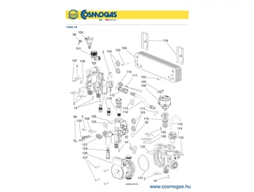 COSMOGAS Table 10